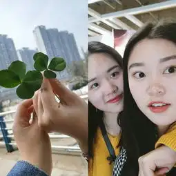 两只猪猪女孩逛宜家