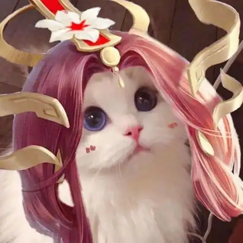 王者荣耀猫咪头像,有你的本命英雄吗