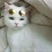 莉莉安