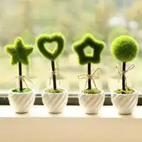 高清植物头像微信头像图片大全