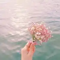 鲜花的图片头像唯美好看的鲜花图片头像