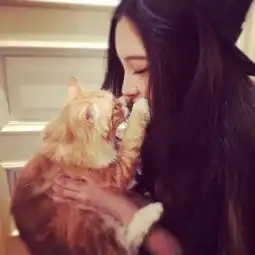 假期把猫独自放家几天,回来后猫咪这样