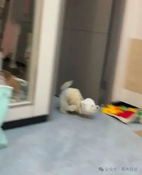 男票拿亲姐照片当头像和手机壁纸哈哈哈哈哈现在的人都玩这么花吗