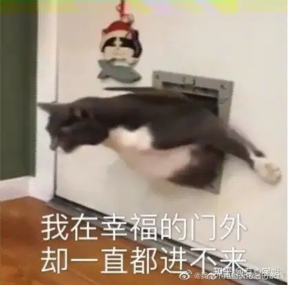 哔哩哔哩专栏