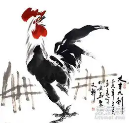 怎么追求属鸡的女孩属鸡的女生性格特点