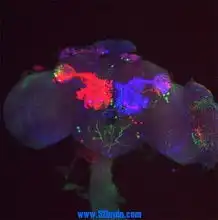 默认相册我爱脑科学网心心水滴论坛