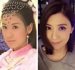 苏有朋版倚天12美女现状有人销声匿迹