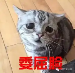 委屈为了买个房,萧山男子头发都白了,天天借酒浇愁,老婆现在还要和他离婚搜狐其它搜狐网