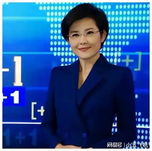 王宁从河北石家庄走出来的央视著名女主持人,男友在雾中迷路了