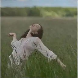 结婚不一定是为了幸福,但离婚一定是