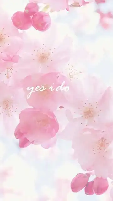 求好看的,少女心,小仙女用的qq头像