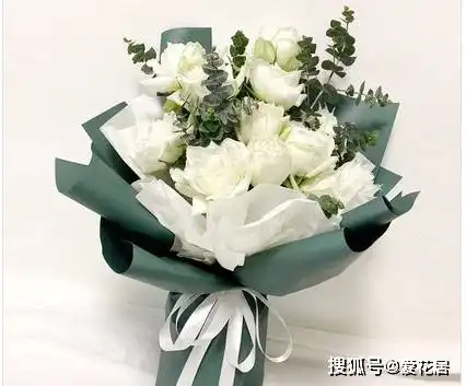孕妇不能养什么花孕妇能养什么植物