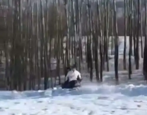 哈尔滨情侣叠罗汉坐充气圈在野外滑雪时撞树,女子需开颅男子昏迷