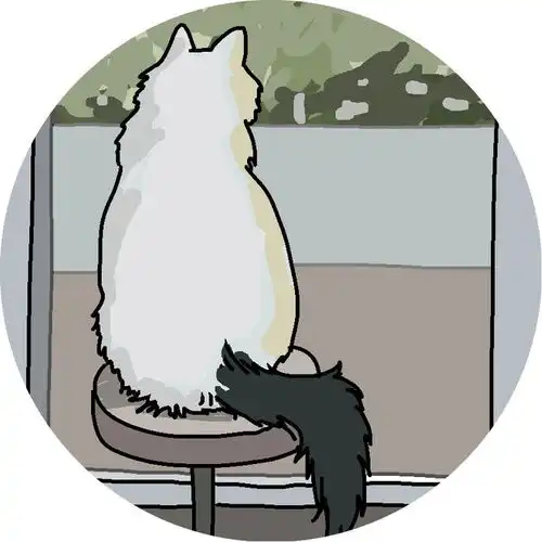 杏花微雨,可以带猫咪去踏青吗