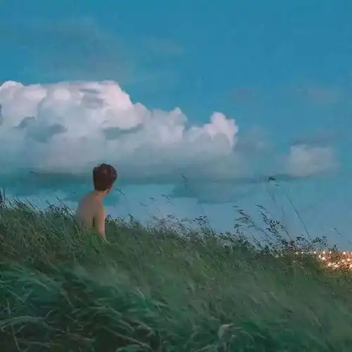 一语一追寻你总要一个人,经历一些难捱的日子