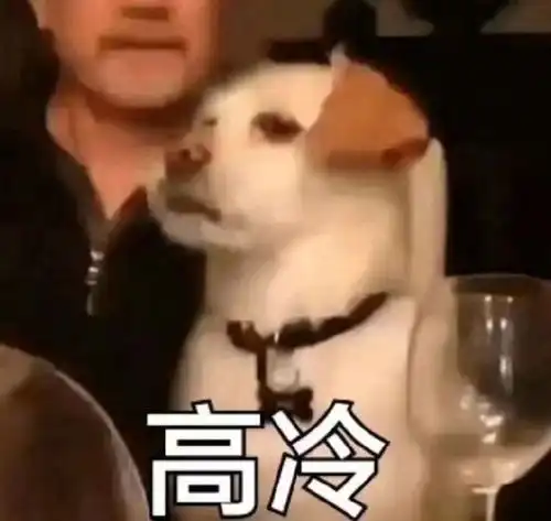 清新脱俗的朋友圈文案