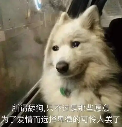 如何追女生追到她,完全没有任何想法