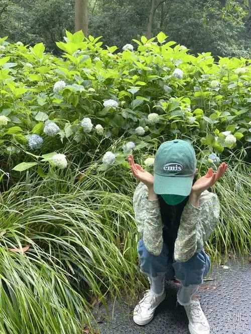 女明星都爱的绿帽子,原来这么香