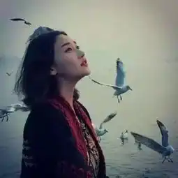 世界偏爱读书多的你