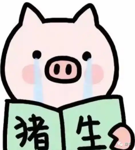 每逢佳节胖十斤,猪年零食准备好了吗