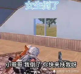 吃鸡女生倒了vs男生倒了,队友的反应,我还没一个房子重要