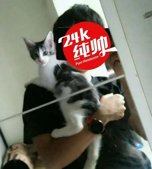 默认
