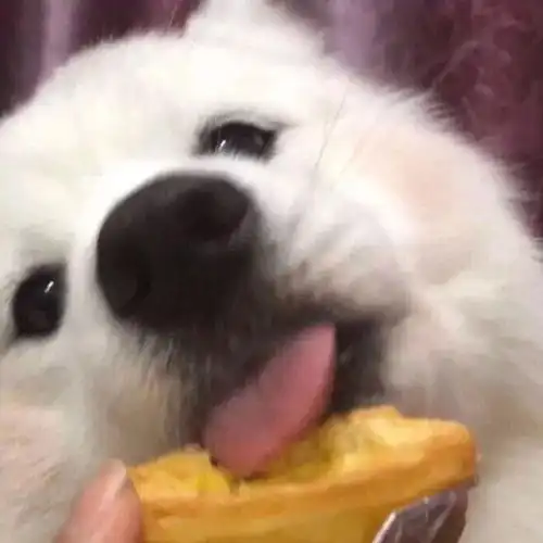 你喜欢收集什么东西