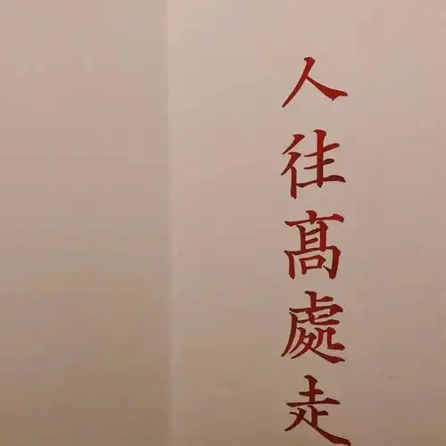 头像背景丨既见君子云胡不喜
