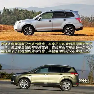 suv也很运动斯巴鲁森林人对比福特翼虎