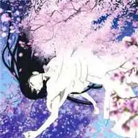 唯美女生头像樱花背景图片微信头像图片大全