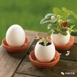 花友们孤独求败的创意花器,高手在民间,不服来战呀