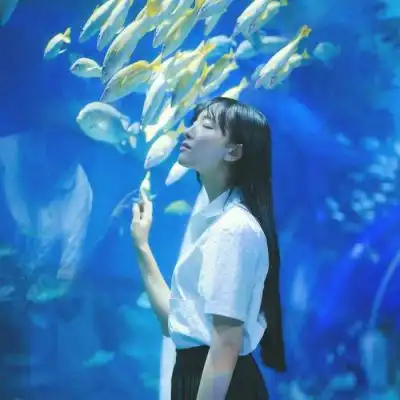 失去的不再回来回来的亦不如初