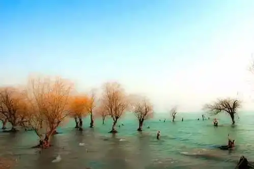 美哭了合肥秋季最美的风景都在这里了,每一张都可以做壁纸