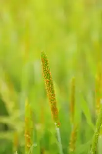 都说肉的不好,咱就来几张肉的小草,无后期直出