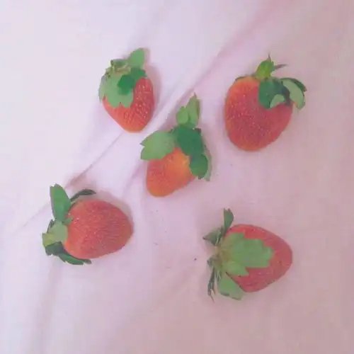 null15237612bf7254ea配图