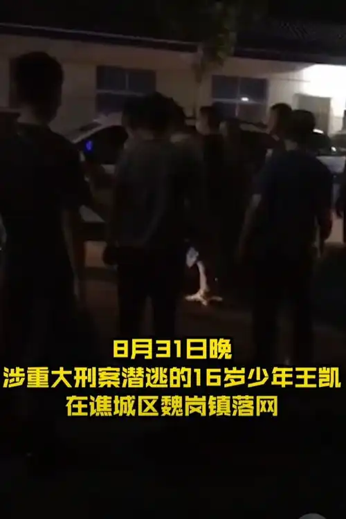 安徽涉重大刑案16岁少年落网,对未成年人犯罪顽疾社会应拿出良方