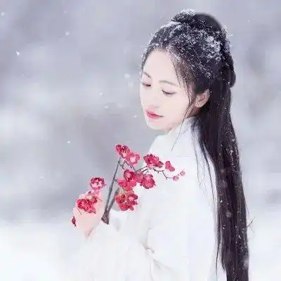 我是人间惊鸿客,飘散红尘中