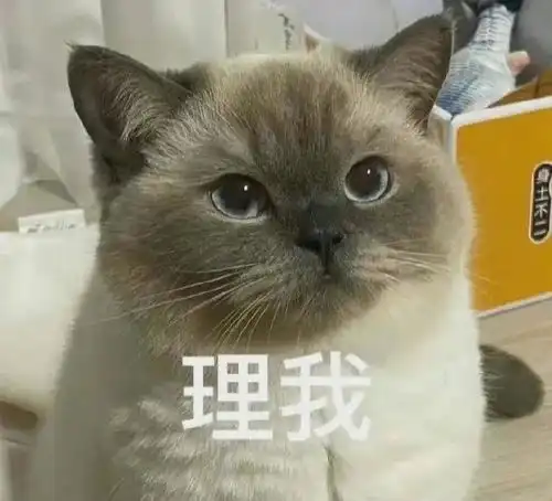 e句话看天下女孩们,不要坐在高温暴晒的石墩上