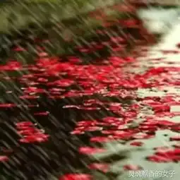 落雨打花花落地,大地吻花花哭泣