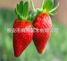 黄页88高清图片