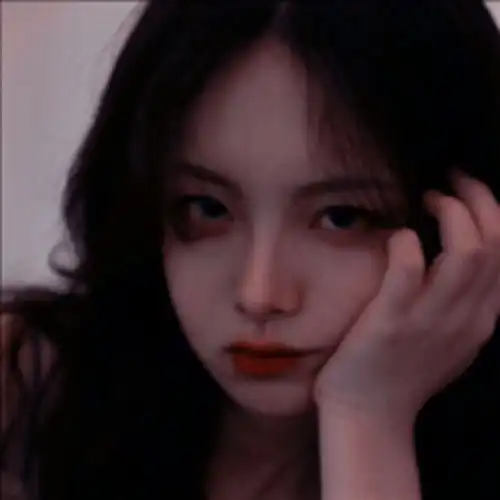 女生头像海鸥不眷恋大海的话可以飞的更高腾讯新闻