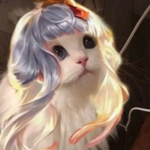 王者猫头像4自制