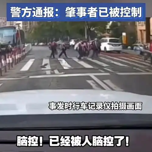 女子驾车闯红灯撞飞两名行人,面对民警她大喊我被脑控了