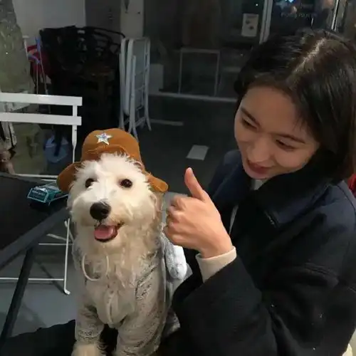 头像丨错过了落日余晖