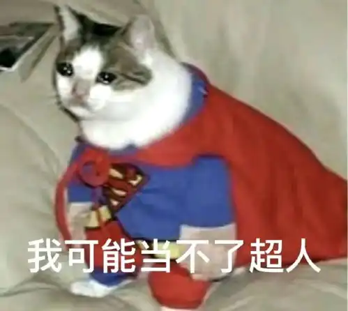 接棒刘亦菲头像,韩国硬汉一拳吓哭半个朋友圈