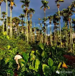 现实版的人猿泰山,同样是美女与野兽,很羡慕