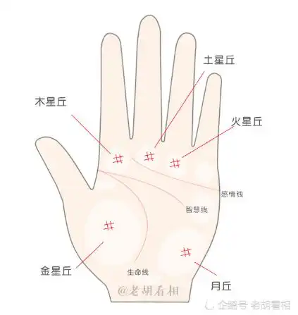 手掌有井字纹有什么寓意是富贵命吗