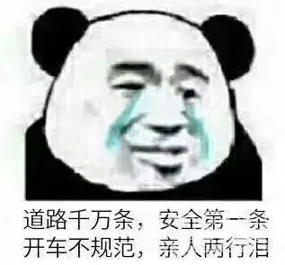 悲剧两女子驾车不慎坠河身亡车辆落水共有3次逃生机会