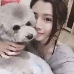 最适合美女饲养的狗狗,泰迪是当之无愧的第一,金毛只能排第二