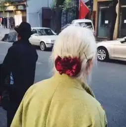 白发戴花君莫笑,岁月从不败美人是什么意思